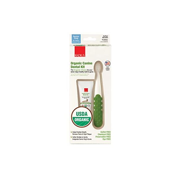 RADIUS: Canine Dental Sol Senior, 1 ea