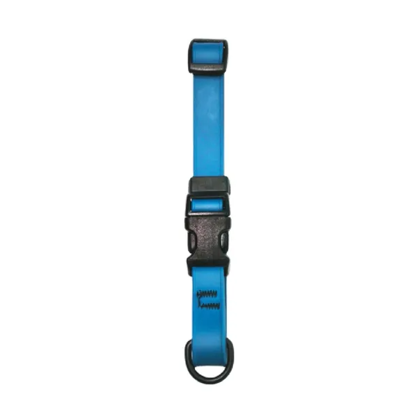 SCOTT PET: Dog Collar Blue Small, 1 ea