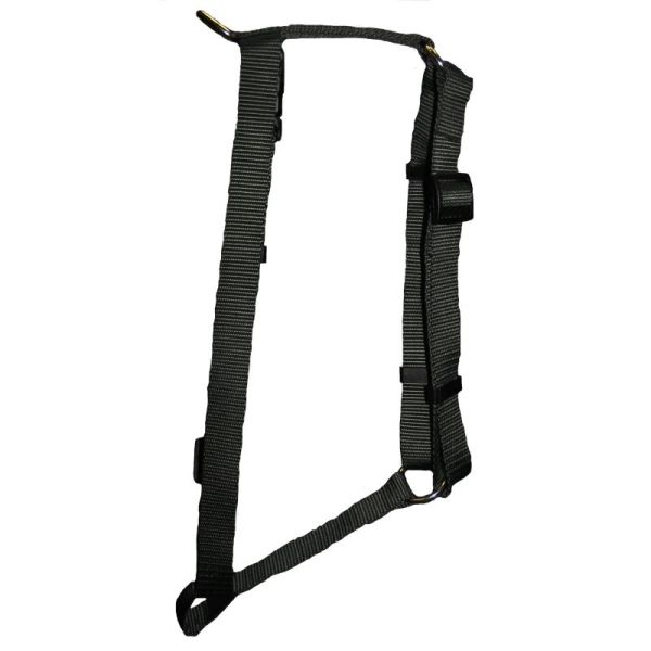 SCOTT PET: Harness Large Black, 1 ea