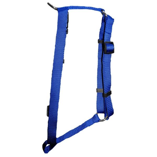 SCOTT PET: Harness Large Blue, 1 ea