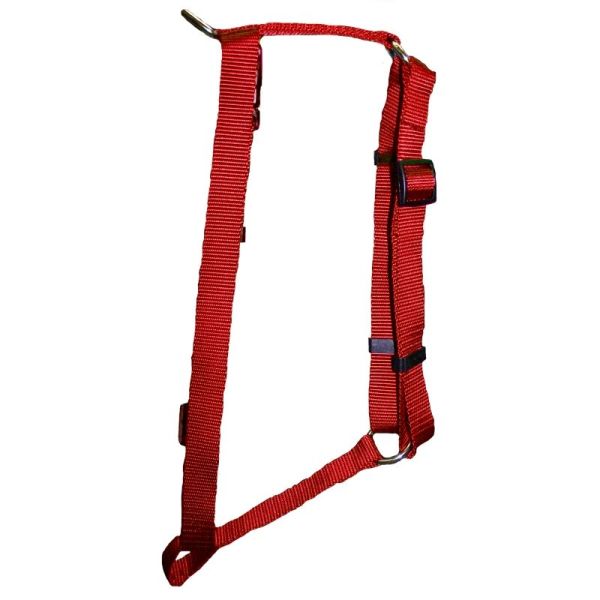 SCOTT PET: Harness Large Red, 1 ea